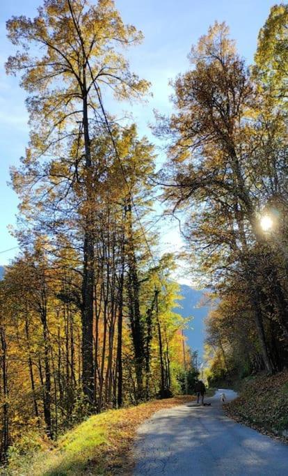 Alpe Basciumo Casa Del Cios Calda E Intima Casetta Immersa Nel Verde Delle Montagne מראה חיצוני תמונה