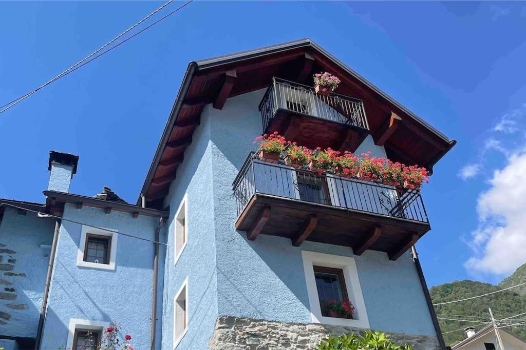 Alpe Basciumo Casa Del Cios Calda E Intima Casetta Immersa Nel Verde Delle Montagne מראה חיצוני תמונה